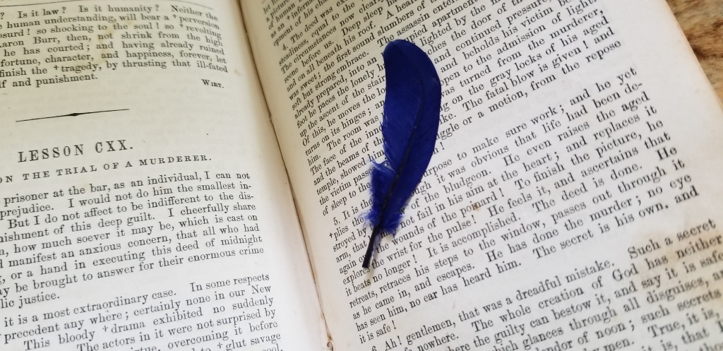 Old McGuffey Reader with a small blue feather tucked inside. 